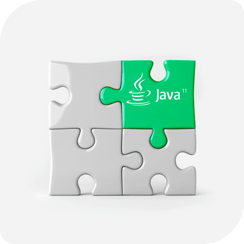 Migration efforts for Java 11 compatibility (Lighthouse)