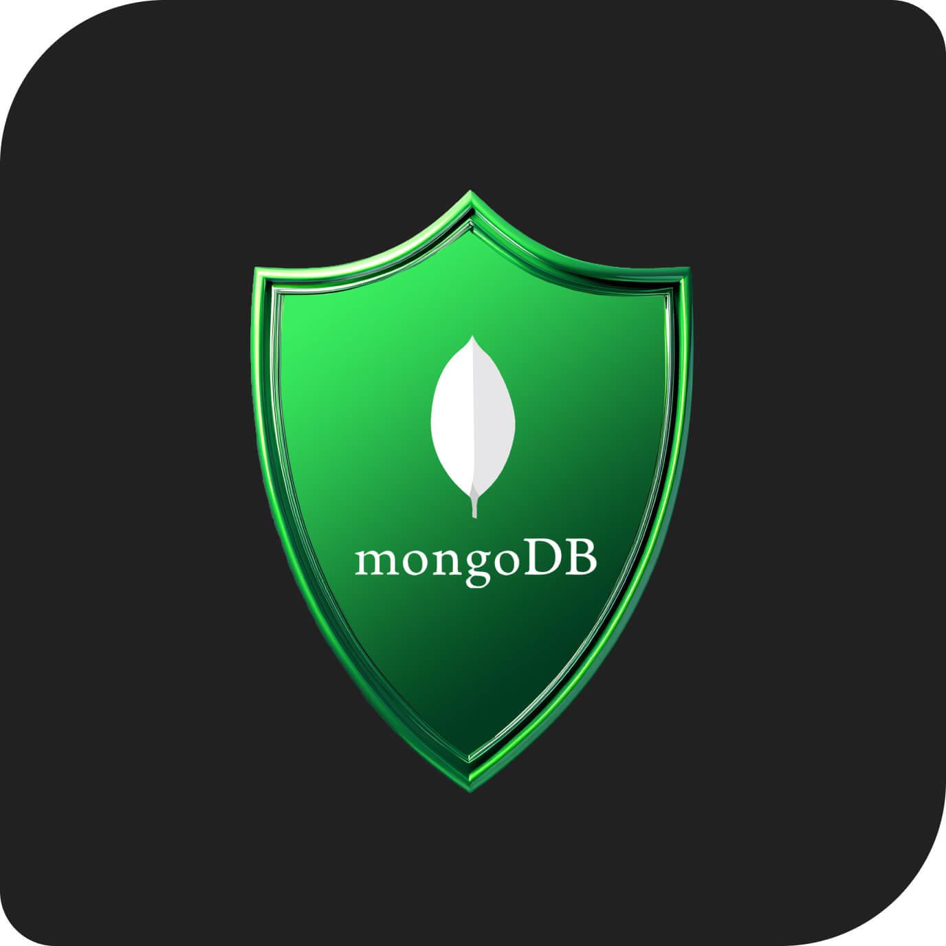 Secure and efficient data storage with MongoDB